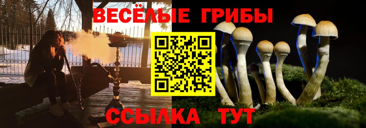 Псилоцибиновые грибы Magic Shrooms  Галлюциногенные грибы мицелий  Вход с VPN  Воткинск 